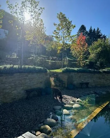 Vikendovka Korce Lejlighedshotel 4*